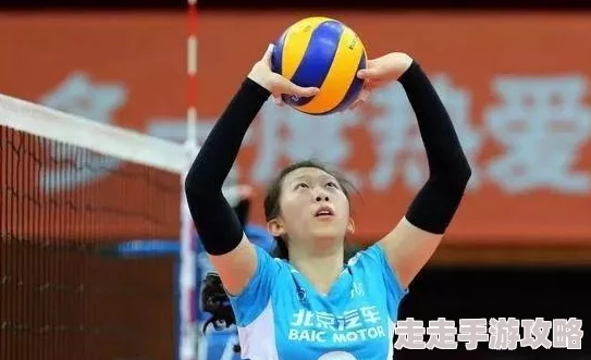 排球少年新的征程：新手池SSR角色抽取爆料与攻略