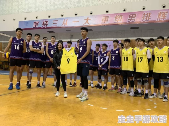 排球少年新的征程：新手池SSR角色抽取爆料与攻略