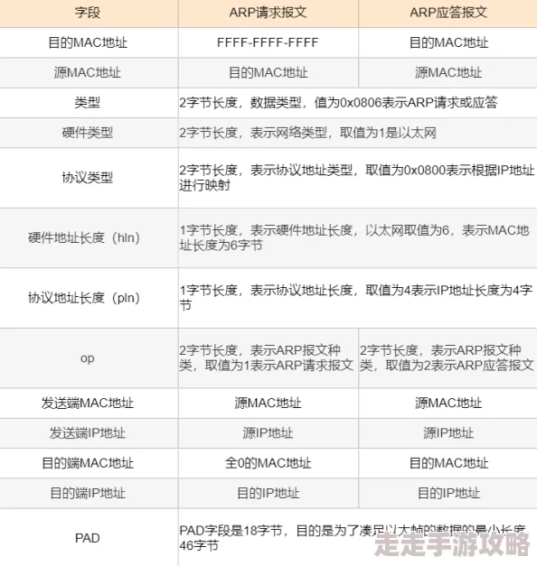 DNF爆料：2024年哪个奶宠最适合你？全面解析助你选对！