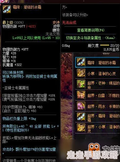 DNF暴食腰带全面爆料：属性、搭配及获取方式详解