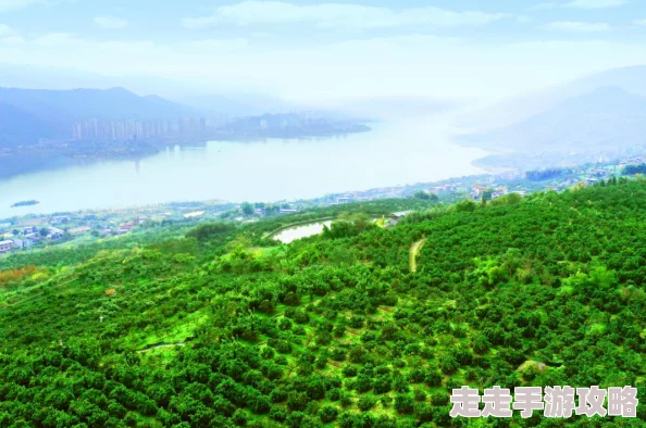 2025DNF角色强度爆料：选哪个职业厉害一网打尽