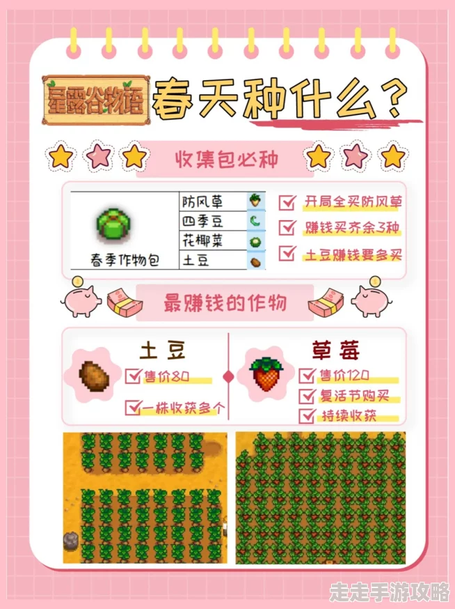 星露谷物语春天种植攻略：揭秘哪种种子最赚钱惊人爆料！