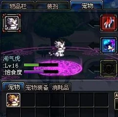 DNF爆料：探寻最萌宠物，可爱虎荣登人气榜首！