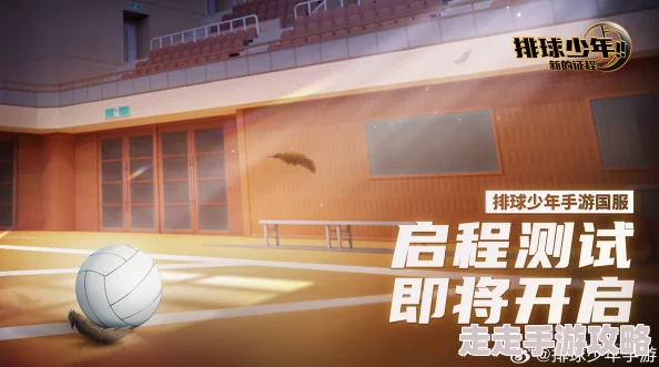 排球少年新征程：揭秘训练馆玩法攻略与爆料信息