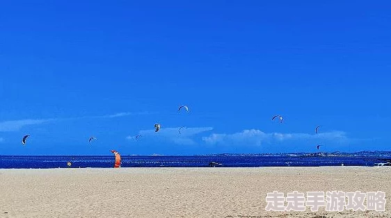 2024高人气单人海岛生存小游戏推荐及下载爆料
