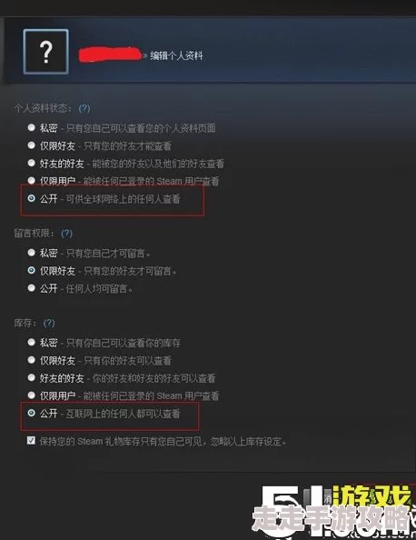 2025年最新指南：如何将Steam私密库存轻松改为公开并紧跟游戏潮流