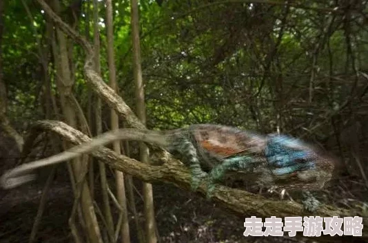 2025年热门生态探索:迷失森林动物原型类别详解,揭秘森林中的蜥蜴及其他奇异生物 2025年热门生态探索:迷失森林动物原型类别详解,揭秘森林中的蜥蜴及其他奇异生物