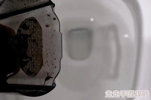 开放空间角色攻略：芙的技能与玩法详解