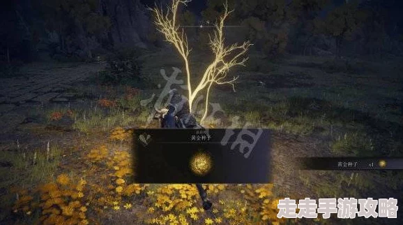 艾尔登法环高效刷图技能推荐，快速提升战斗力技巧解析
