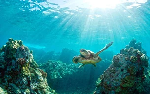 海滩上的灵魂之夏：公主连结盛夏的真步王国活动，尽享清凉与冒险
