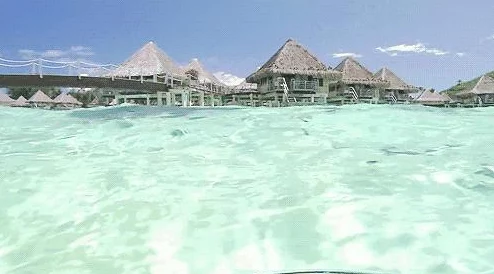 海滩上的灵魂之夏：公主连结盛夏的真步王国活动，尽享清凉与冒险