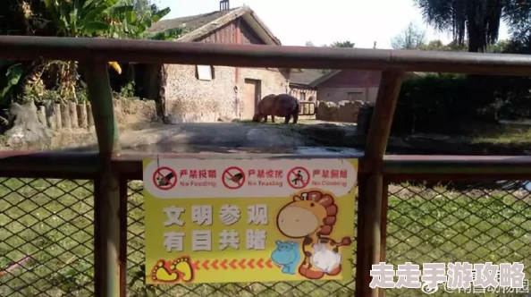 动物园之星如何删除围栏 ｜ 动物园之星详细删除围栏教程