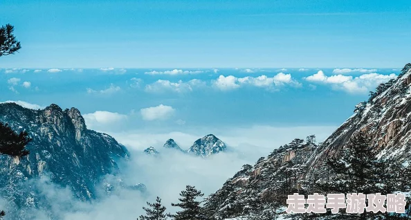 创造与魔法炼丹配方详解 ｜ 快速掌握炼丹技巧指南