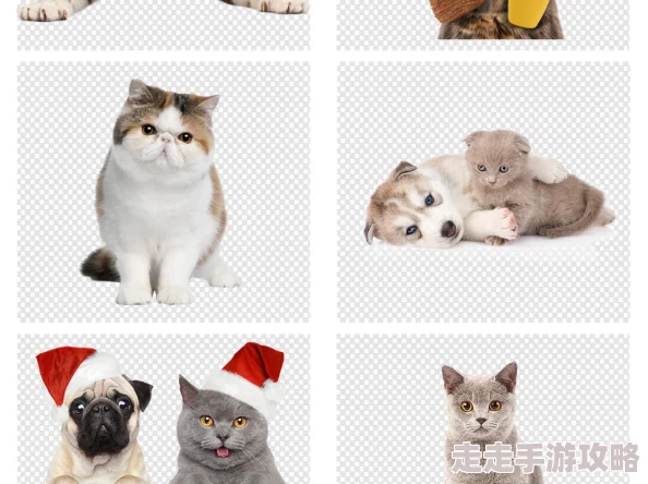萌宠小猫咪游戏下载指南 ｜ 精选有趣的小猫咪游戏合集