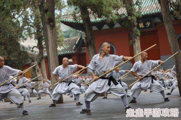 真三国无双起源剑武艺效果获取攻略｜详细解锁方法解析