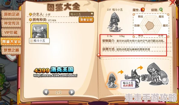 洛克王国手游格斗小五位置详解 ｜ 格斗小五在哪儿找