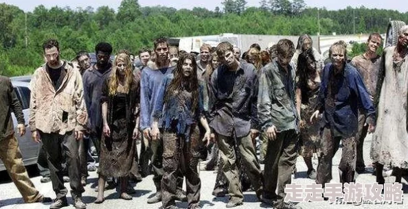 最受欢迎的僵尸类手游推荐 前五热门僵尸游戏详解 最受欢迎的僵尸类手游推荐 前五热门僵尸游戏详解