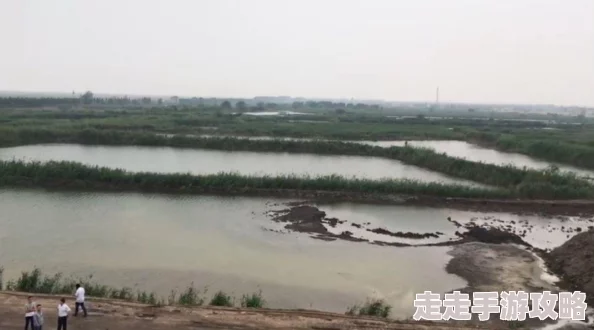 2025年CF空三防属性高效刷新攻略与最新热门刷法介绍