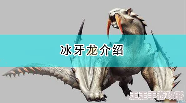 2025年怪物猎人崛起精气琥珀尖高效获得方法与最新途径