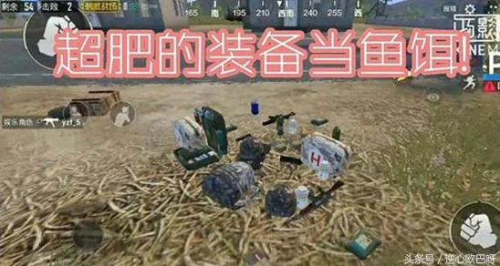 2025年热门钓鱼技巧:掌握高科技装备,轻松钓取稀有虚空鲑鱼的方法 2025年热门钓鱼技巧:掌握高科技装备,轻松钓取稀有虚空鲑鱼的方法