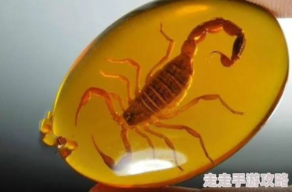 2025年热门指南：我的世界材质包最新导入方法及技巧介绍