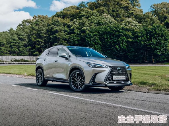 2025年游戏攻略：骑砍2自带控制台最新使用教程与热门技巧详解