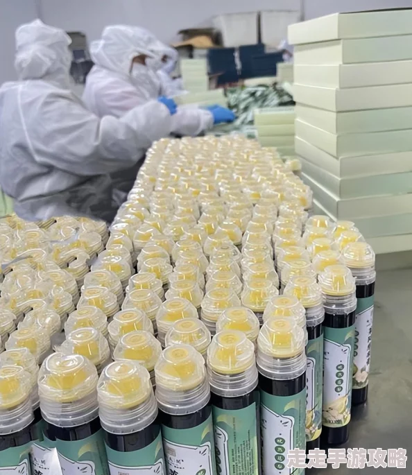 2025热门解读：东方幕华祭春雪篇剧情深度剖析与新角色亮点介绍