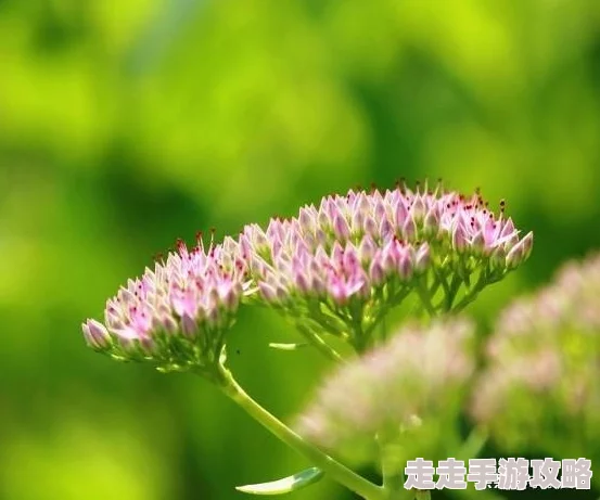 2025年热门游戏回顾:仙剑奇侠传7第二十章-千里奔忙瞬息间,须臾尽展剧情流 2025年热门游戏回顾:仙剑奇侠传7第二十章-千里奔忙瞬息间,须臾尽展剧情流