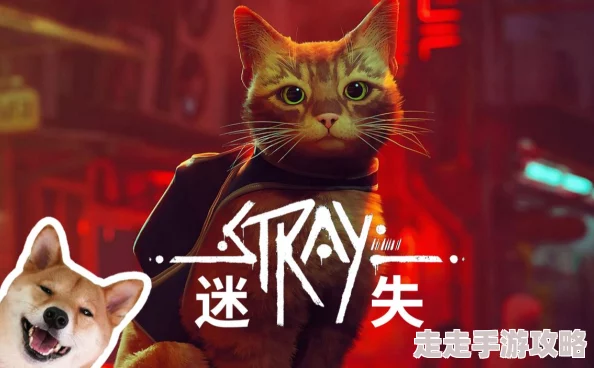 2025年热门宠物行为解析：迷失Stray猫咪抓挠演示视频，揭秘猫咪高效抓墙新技巧