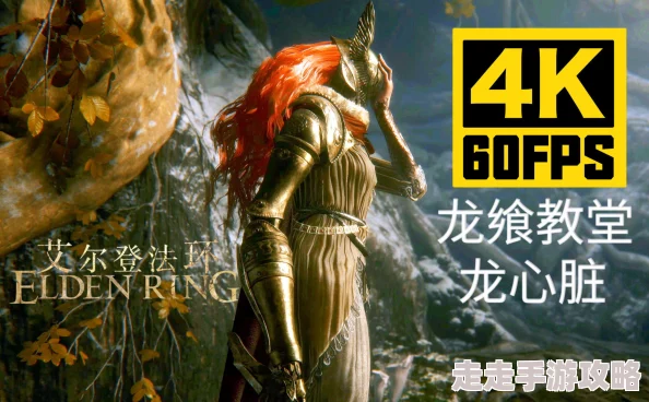 2025年游戏攻略：详解艾尔登法环中龙心脏的最新用途与热门玩法
