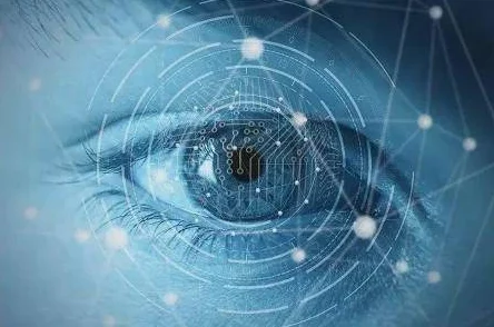 2025无人深空高效无风险偷取虫卵最新技巧视频解析