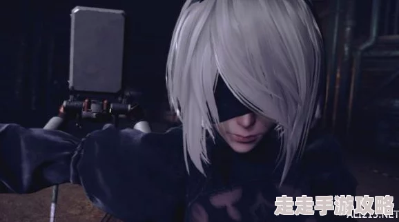 2025年游戏圈回顾：尼尔机械纪元英文名"NieR: Automata"再掀热潮