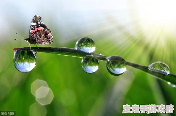 2025热门恐怖黎明镶嵌物全资料及位置图：特殊材料合成攻略、奖励属性详解