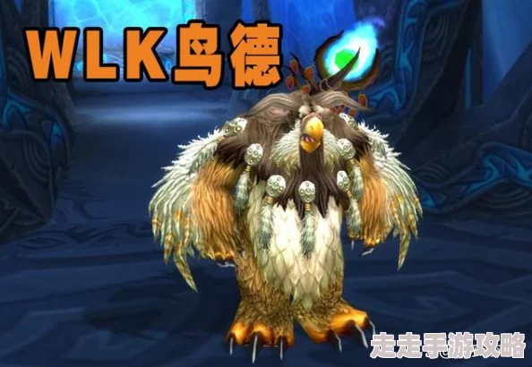 2025年热门分析：WLK鸟德属性优先级与最新配装策略指南