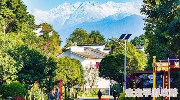 2025年城市天际线2高效策略，利用智能规划与绿色科技增加人口