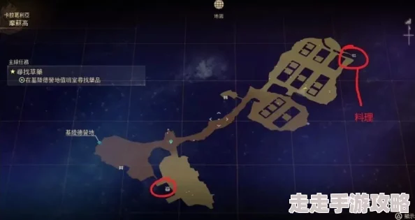 2025热门探索:破晓传说猫头鹰位置大全及最新出现地点汇总 2025热门探索:破晓传说猫头鹰位置大全及最新出现地点汇总