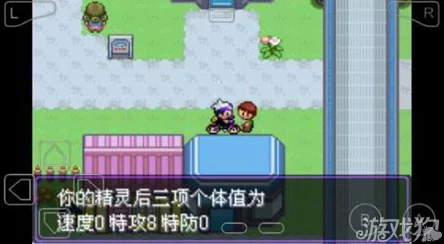 2025年口袋妖怪漆黑魅影岩崩技能学习位置与最新技巧