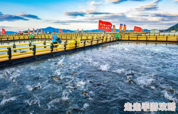 2025热门探索：海岛之魂——全面揭秘丢失书籍的最新发现位置介绍