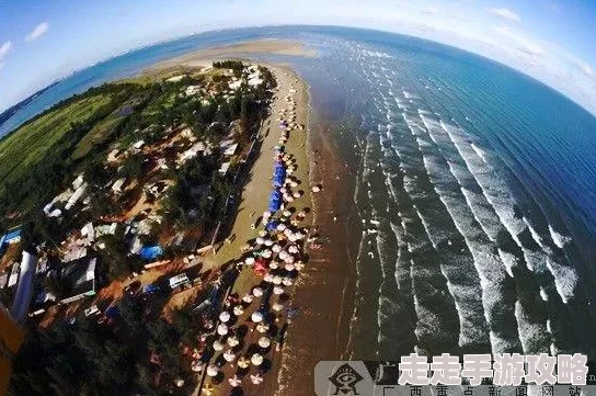 2025热门探索：海岛之魂——全面揭秘丢失书籍的最新发现位置介绍