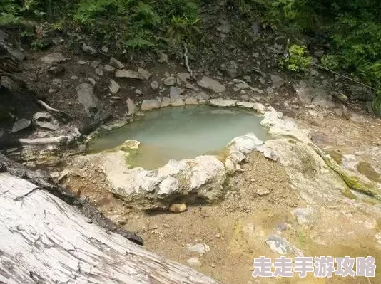 2025年温泉物语全面攻略秘籍_解锁最新玩法_温泉物语全攻略&热门温泉体验专区