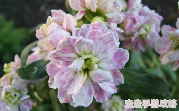 2025热门游戏永恒边缘全攻略:主线支线剧情+BOSS战打法技巧详解界 2025热门游戏永恒边缘全攻略:主线支线剧情+BOSS战打法技巧详解界